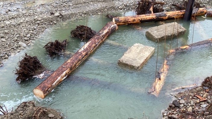 Dezember 2023: Das Berner Ufer wird an mehreren Stellen mit ELJ-Buhnen gesichert. Bei «Engineered Log Jam-Buhnen» werden lokale Holzstämme und Wurzelstöcke verbaut. Die Betonelemente sind eine temporäre Sicherungsmassnahme gegen den Auftrieb.