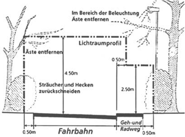 Darstellung Rückschnitt