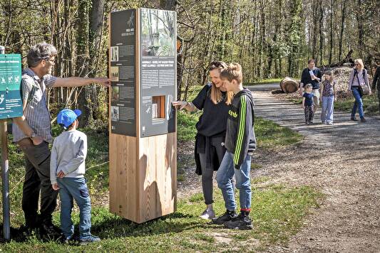 Bild Infotafel Themenpfad St. Petersinsel