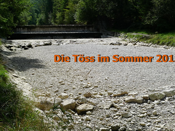 ausgetrocknetes Tössbett 2015