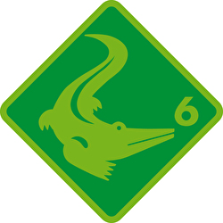 Abzeichen; Grundlagentest Krokodil