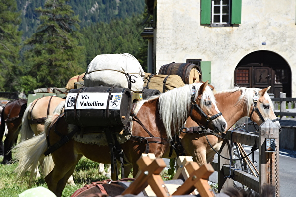 via Valtellina