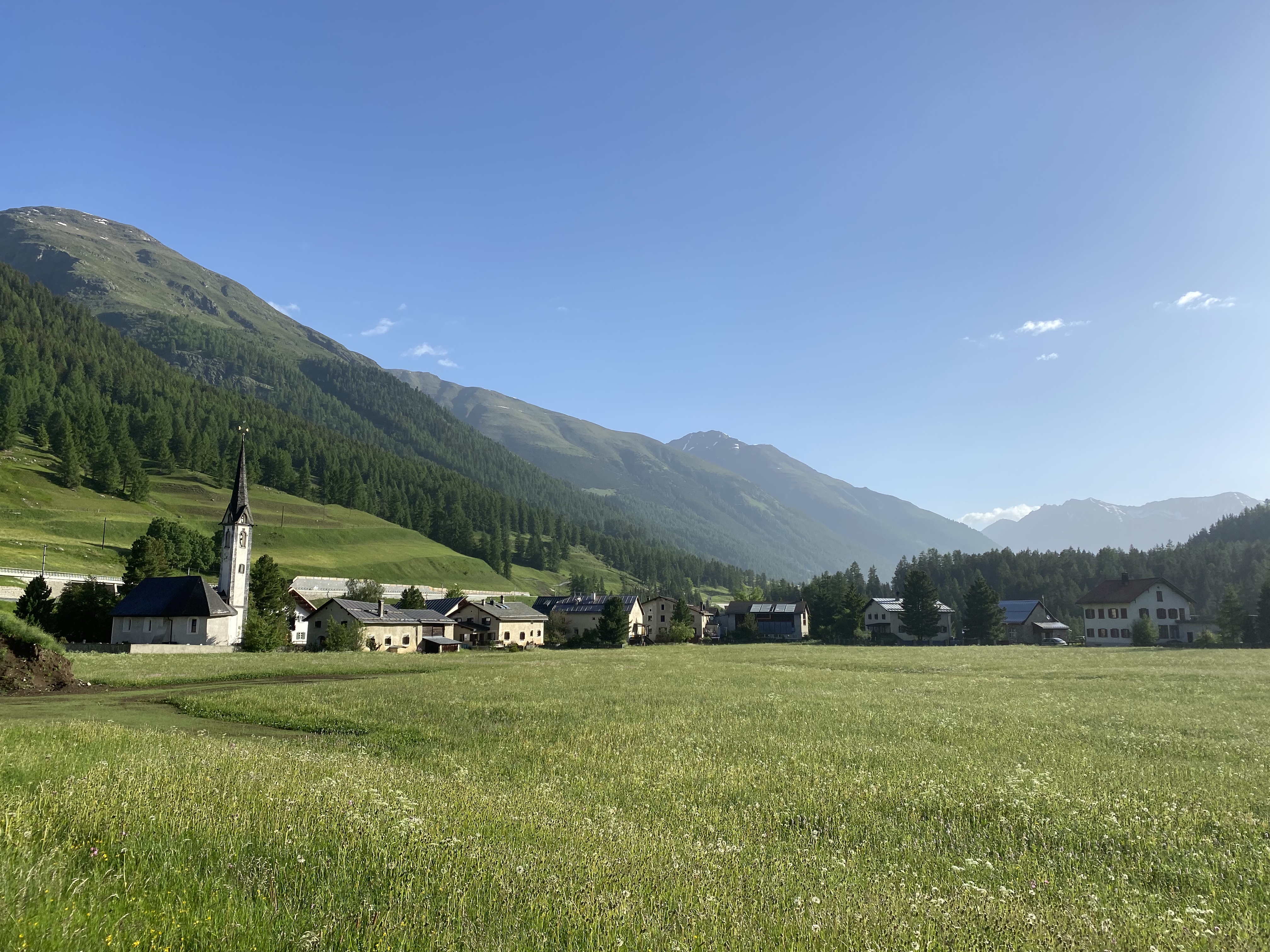 Dorf