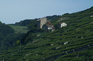 La Tour de Marsens