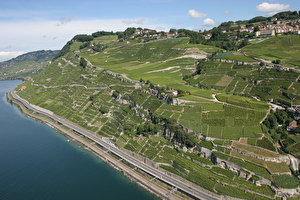 Vignoble du Dézaley - Puidoux