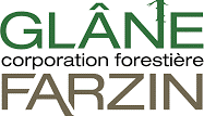 Forêt