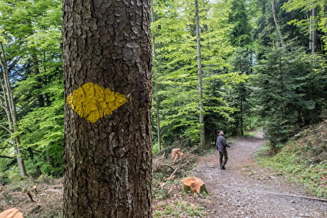 Frölichsegg