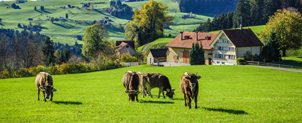 Foto Landwirtschaft