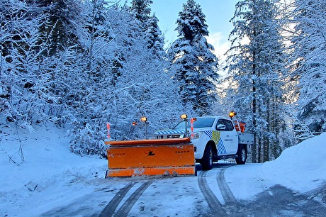 Foto Fahrzeug Bauamt