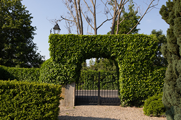 portail du cimetière entouré de végétation