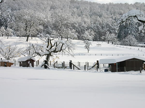 cornol sous la neige