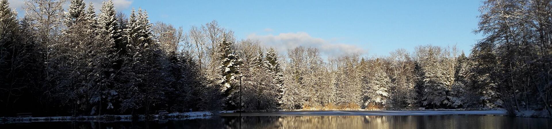 Etang de la Montoie l'hiver