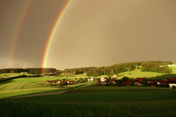 amtliche Todesanzeige Keller geb. Duc Claire