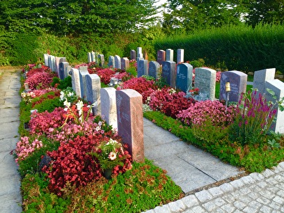 Friedhof