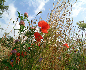 Amtliche Todesanzeige Grabo Andreas