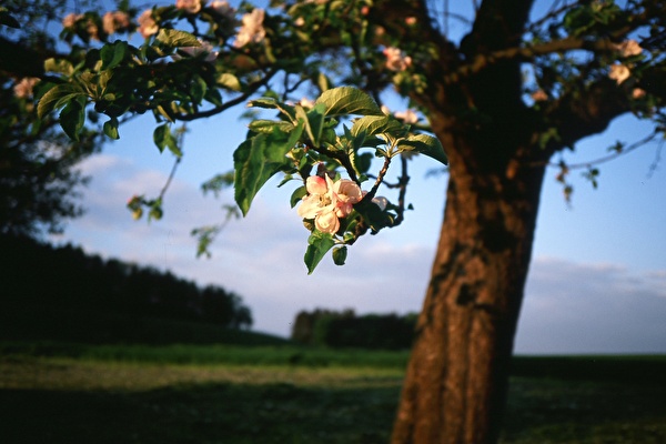 amtliche Todesanzeige Eisenhut Werner