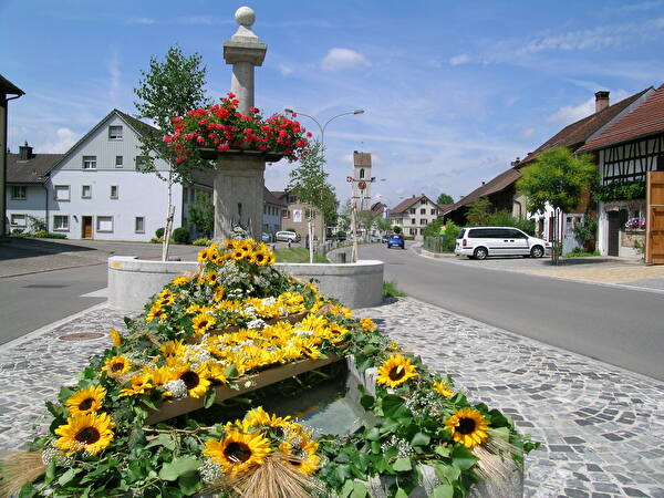Dorf Wiesendangen