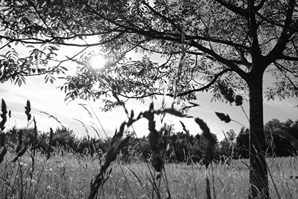 amtliche Todesanzeige Degonda Theodor