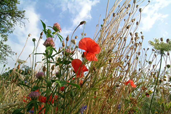 Amtliche Todesanzeige Grabo Andreas