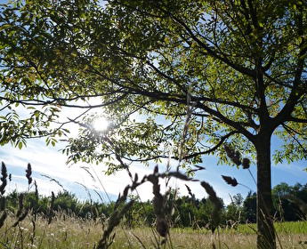 amtliche Todesanzeige Faschian Otmar