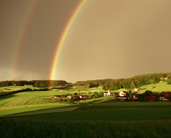 amtliche Todesanzeige Keller geb. Duc Claire