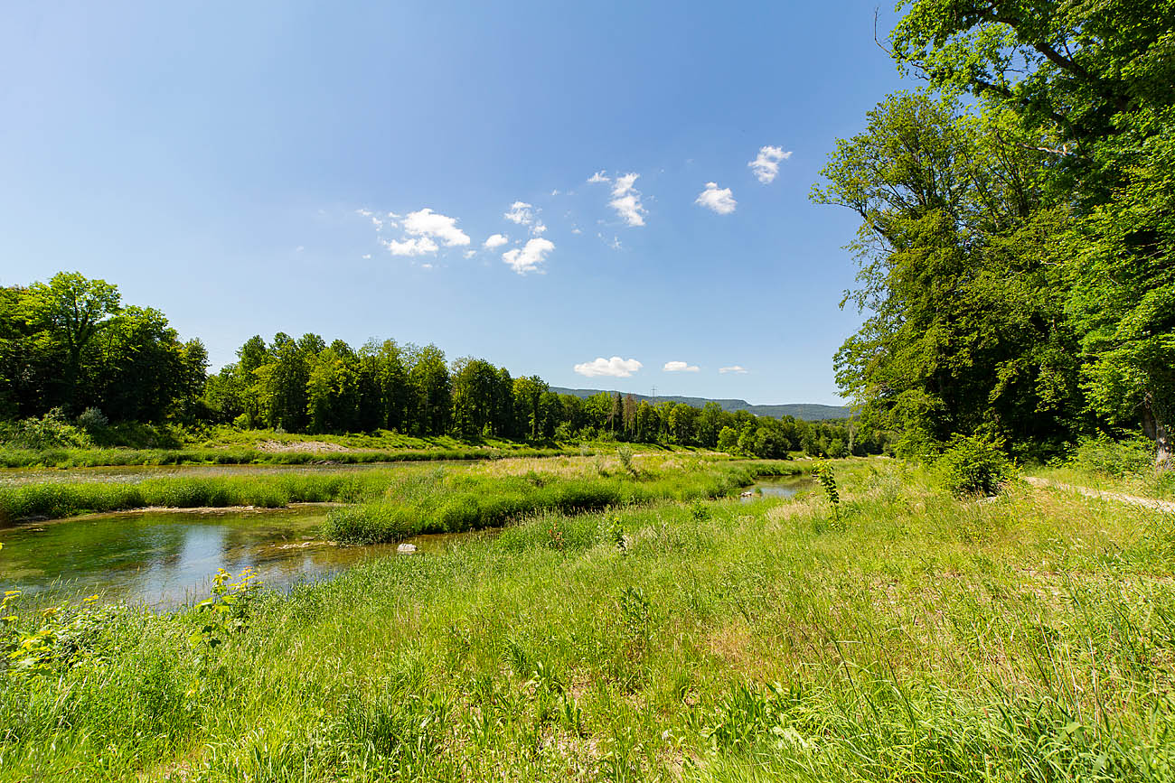 Aarelauf
