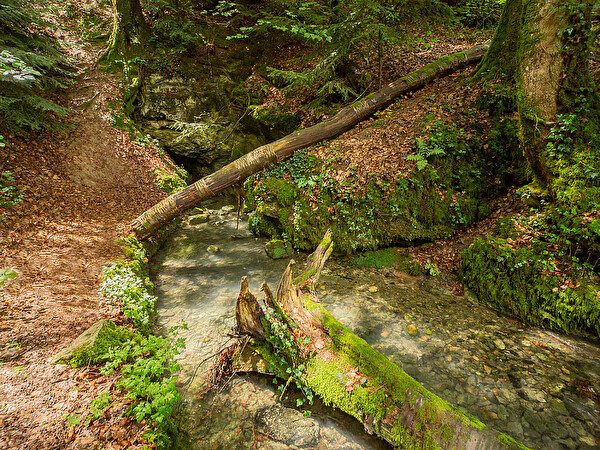 Ursprung Dorfbach