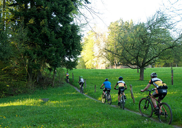 Auf dem Bild sieht man Velofahrer im Wald. 