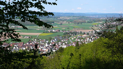 Immobilien Ramsen