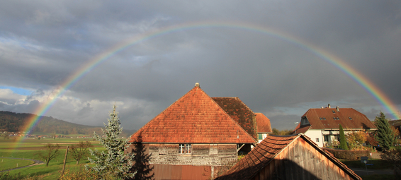 Regenbogen