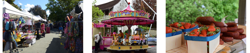 Markt