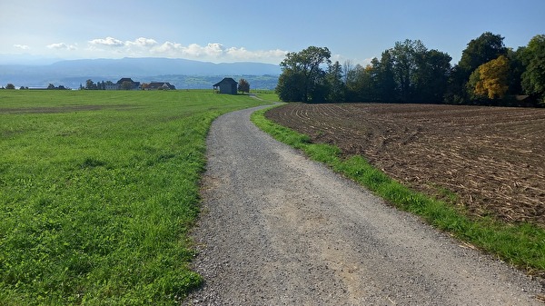 Flurweg im Landwirtschaftsgebiet.
