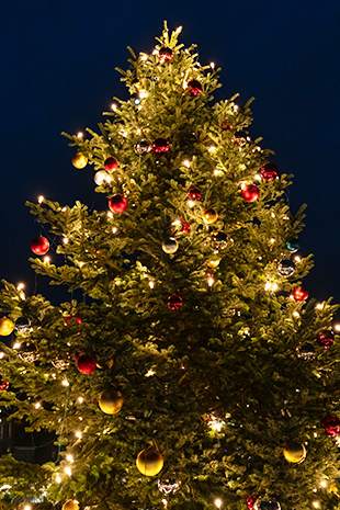 Weihnachtsbaum