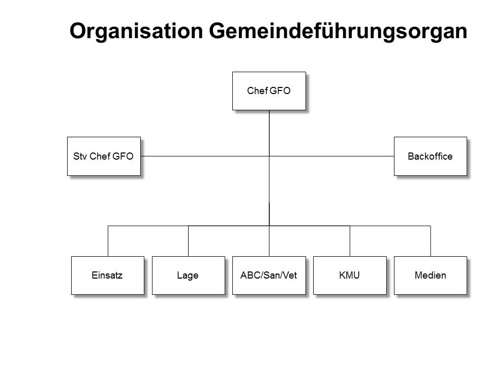 Organigramm GFO