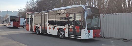 Ortsbus