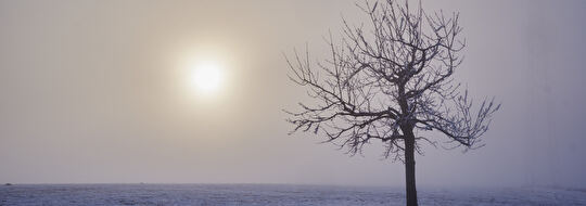 Rüttihubel bei Düdingen im Nebel