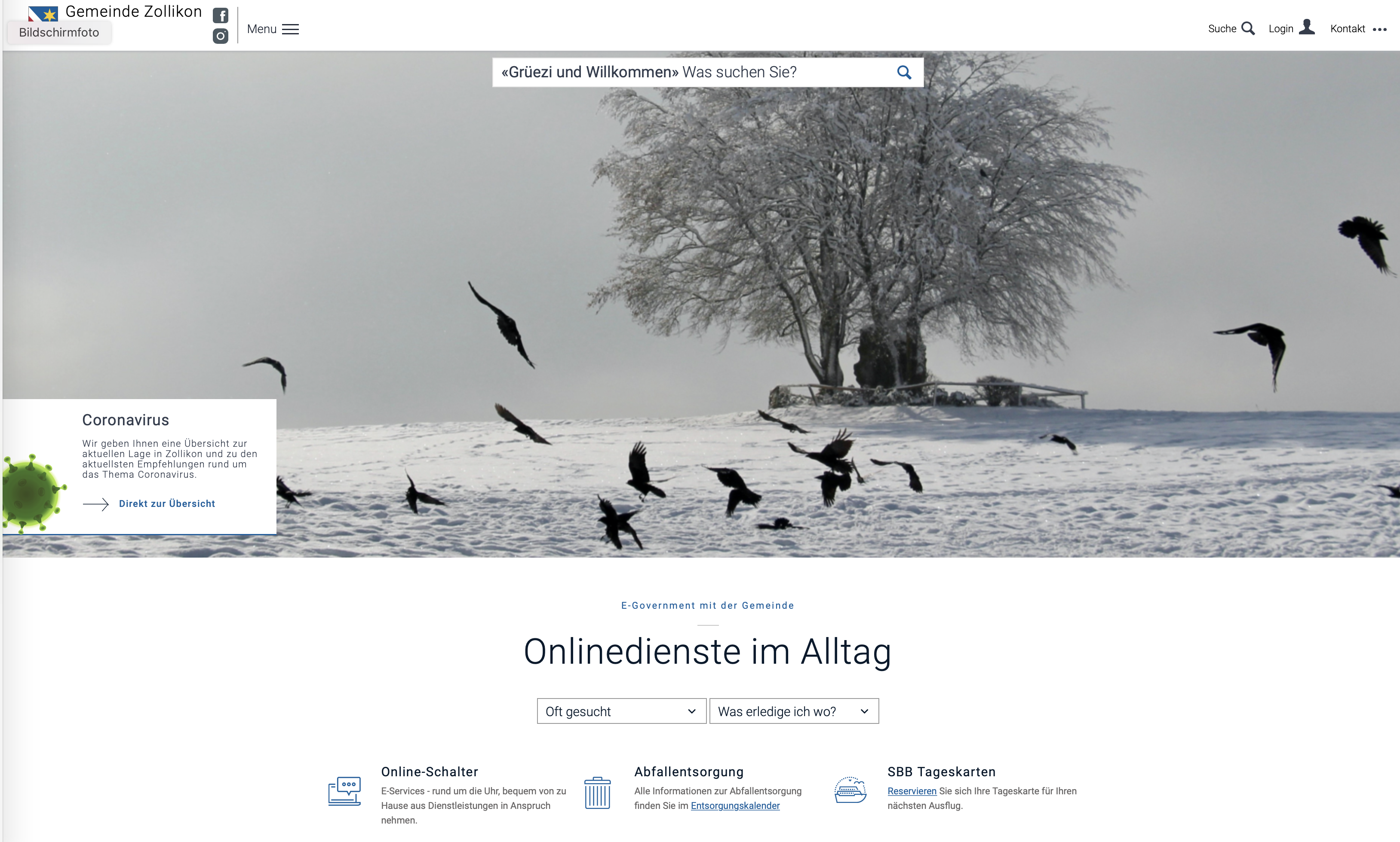 Webseite