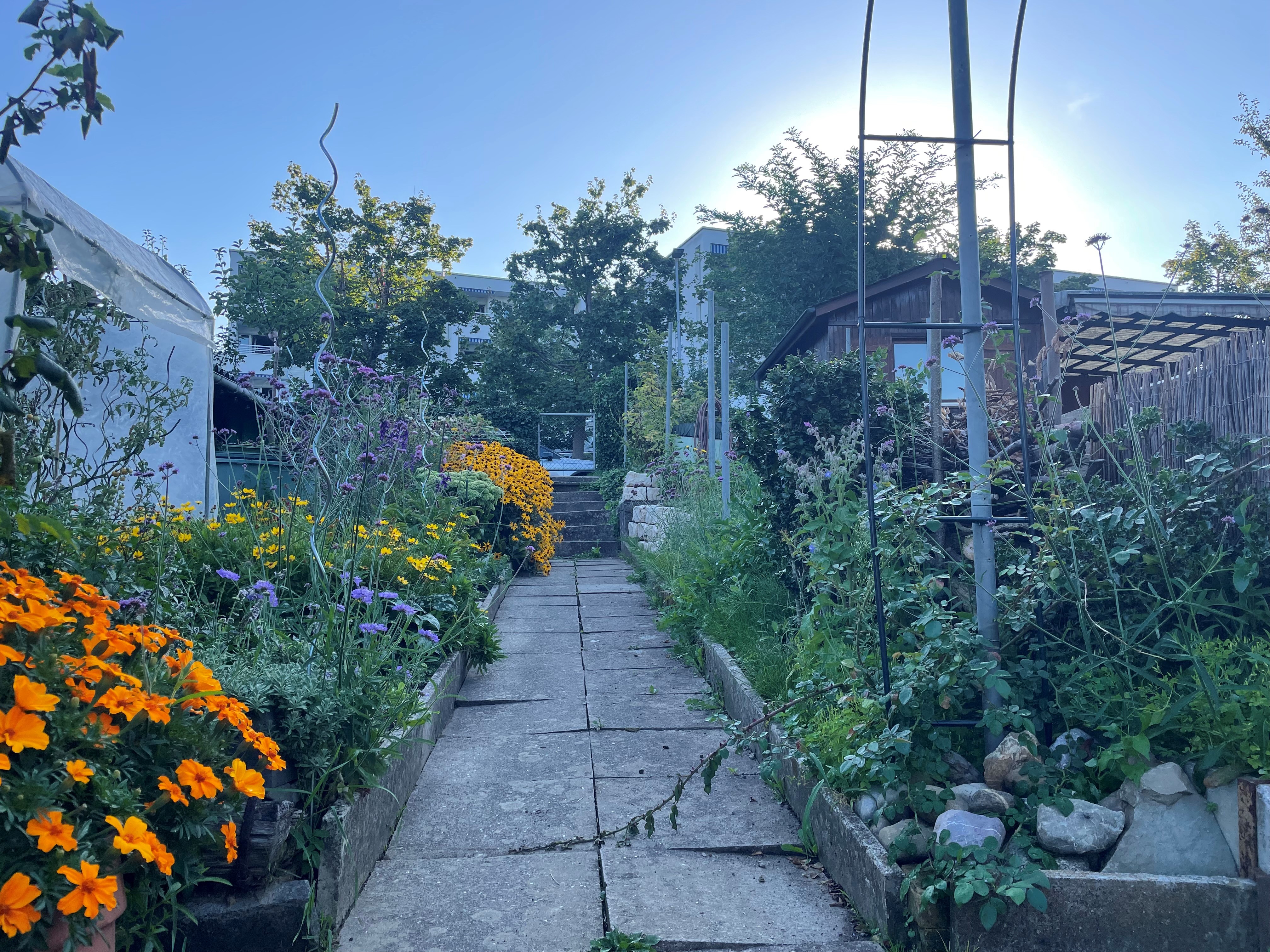 Schrebergarten