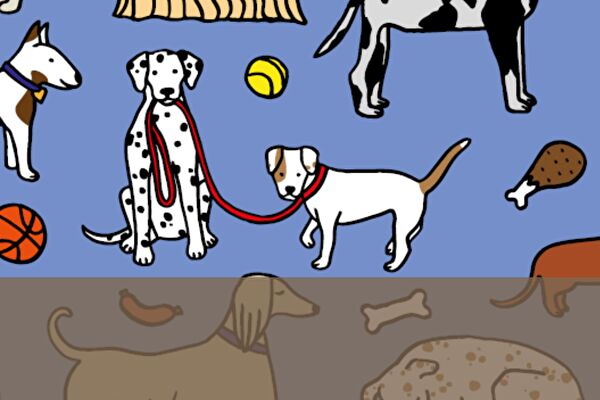 Hunde