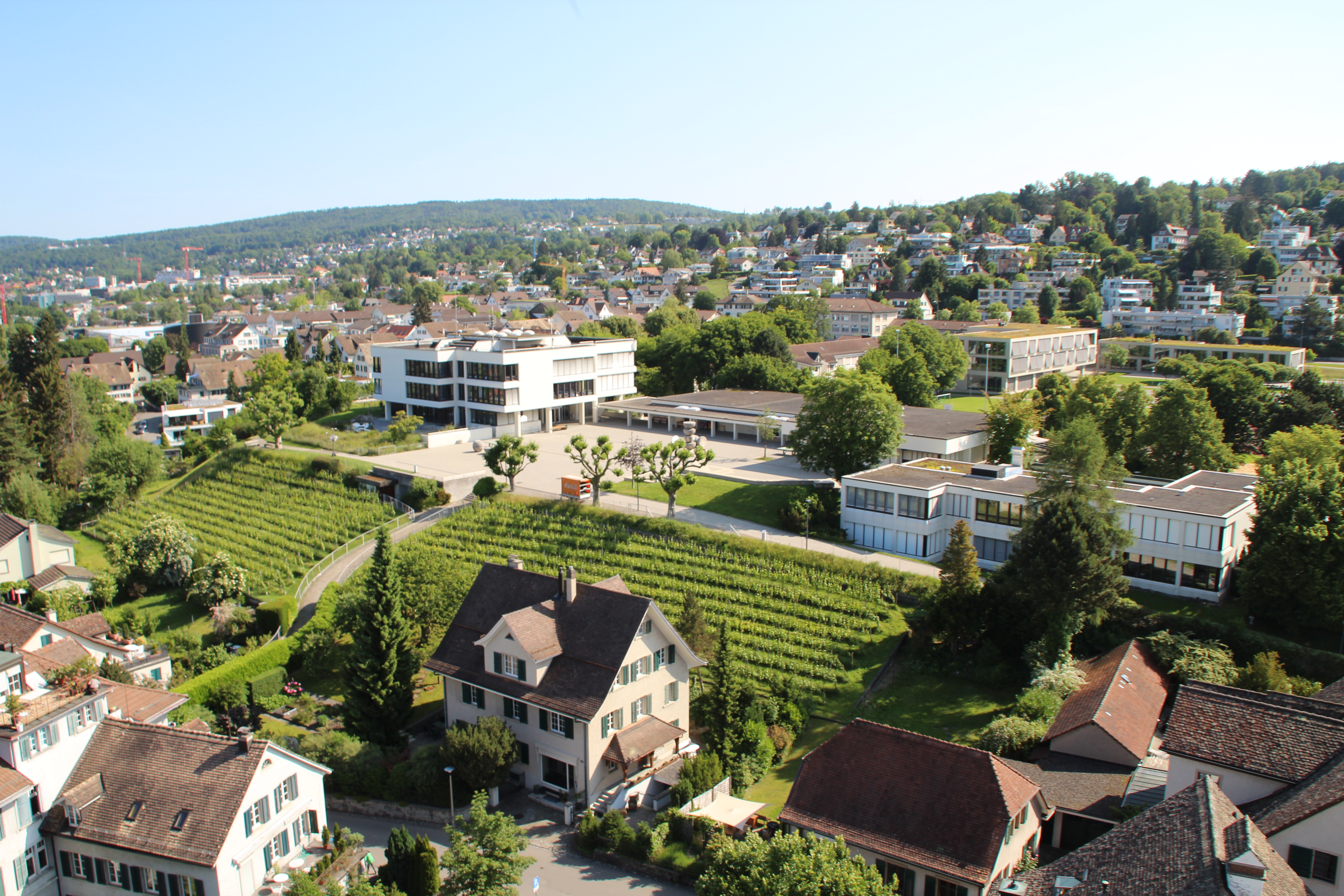 Rebberg
