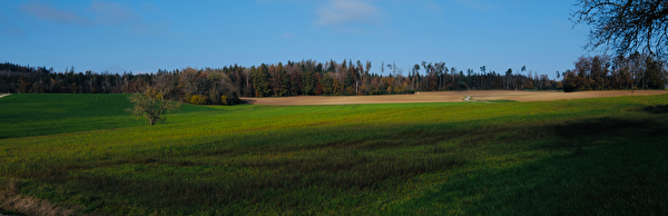 Brunnenwiesen