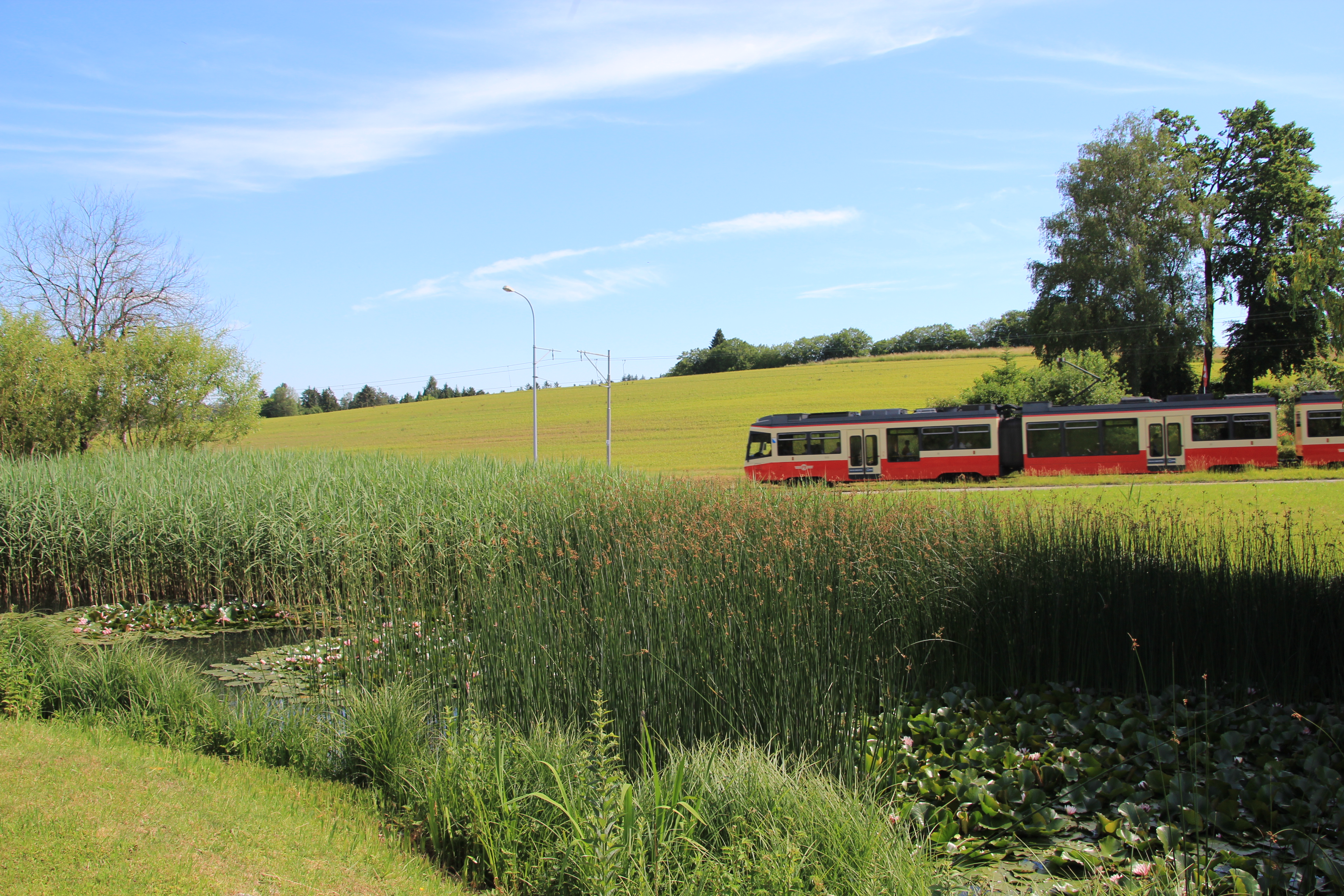 Forchbahn 