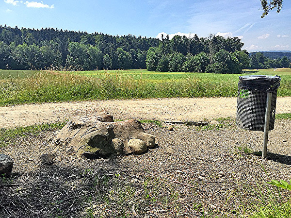 Feuerstelle Breitmoos