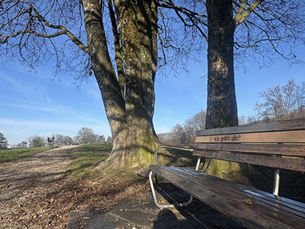 Wie-geht-es-dir-Bank?