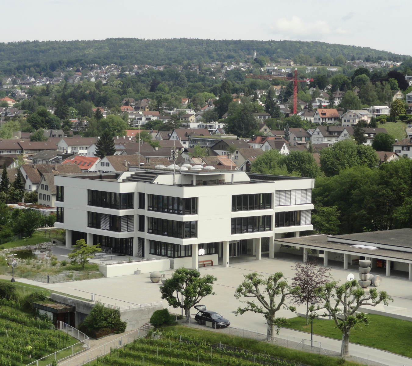 Buechholz A