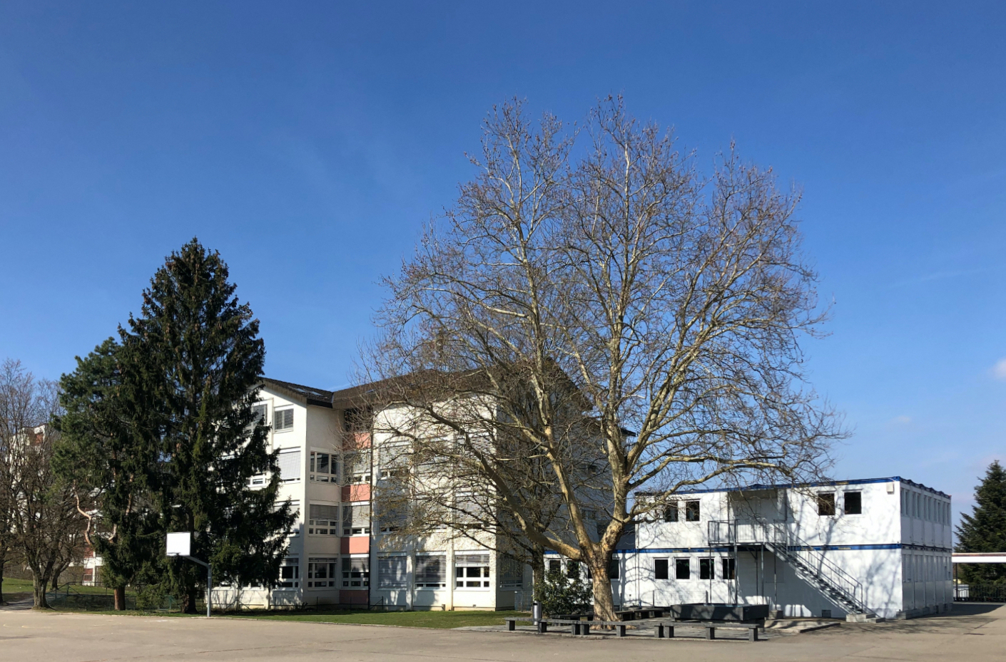 Rüterwis A