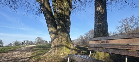 Wie-geht-es-dir-Bank?