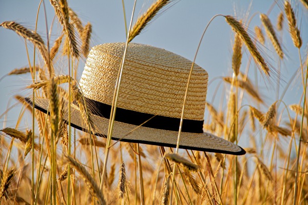 Sommerserenade