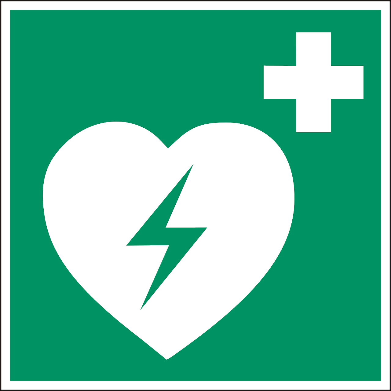 Defibrillator