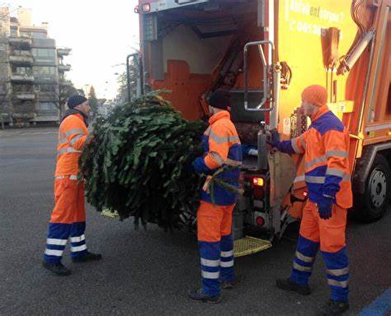 Entsorgung Weihnachtsbaum